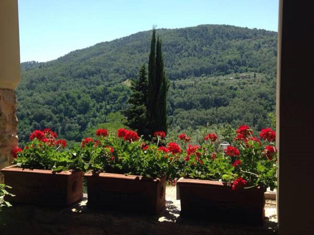 Agriturismo Villa Dauphine Bagno a Ripoli Exterior foto